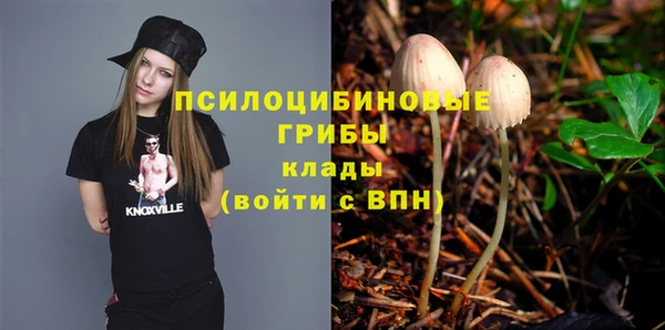 Альфа ПВП Арсеньев